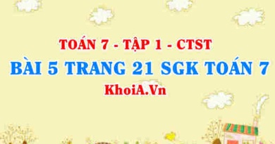 Bài 5 trang 21 SGK Toán 7 tập 1 Chân trời sáng tạo